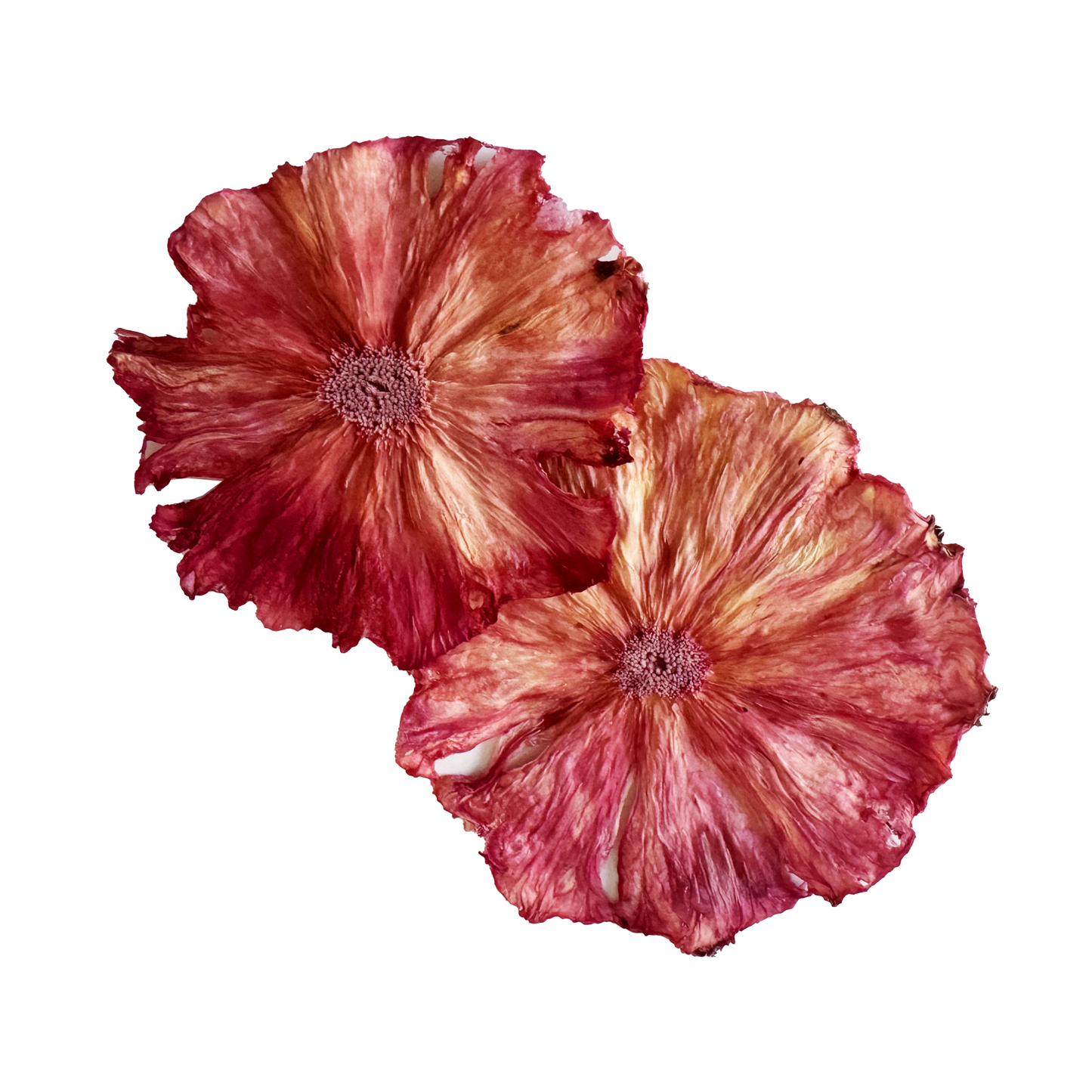 Rose Ombré Dehydrated Pineapple Wheel