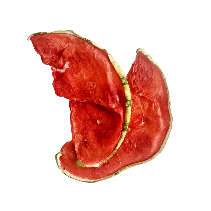 Watermelon Slices