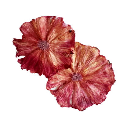Rose Ombré Dehydrated Pineapple Wheel