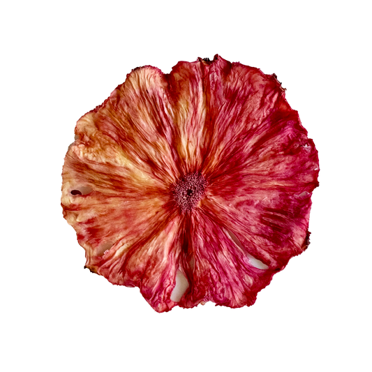Rose Ombré Dehydrated Pineapple Wheel